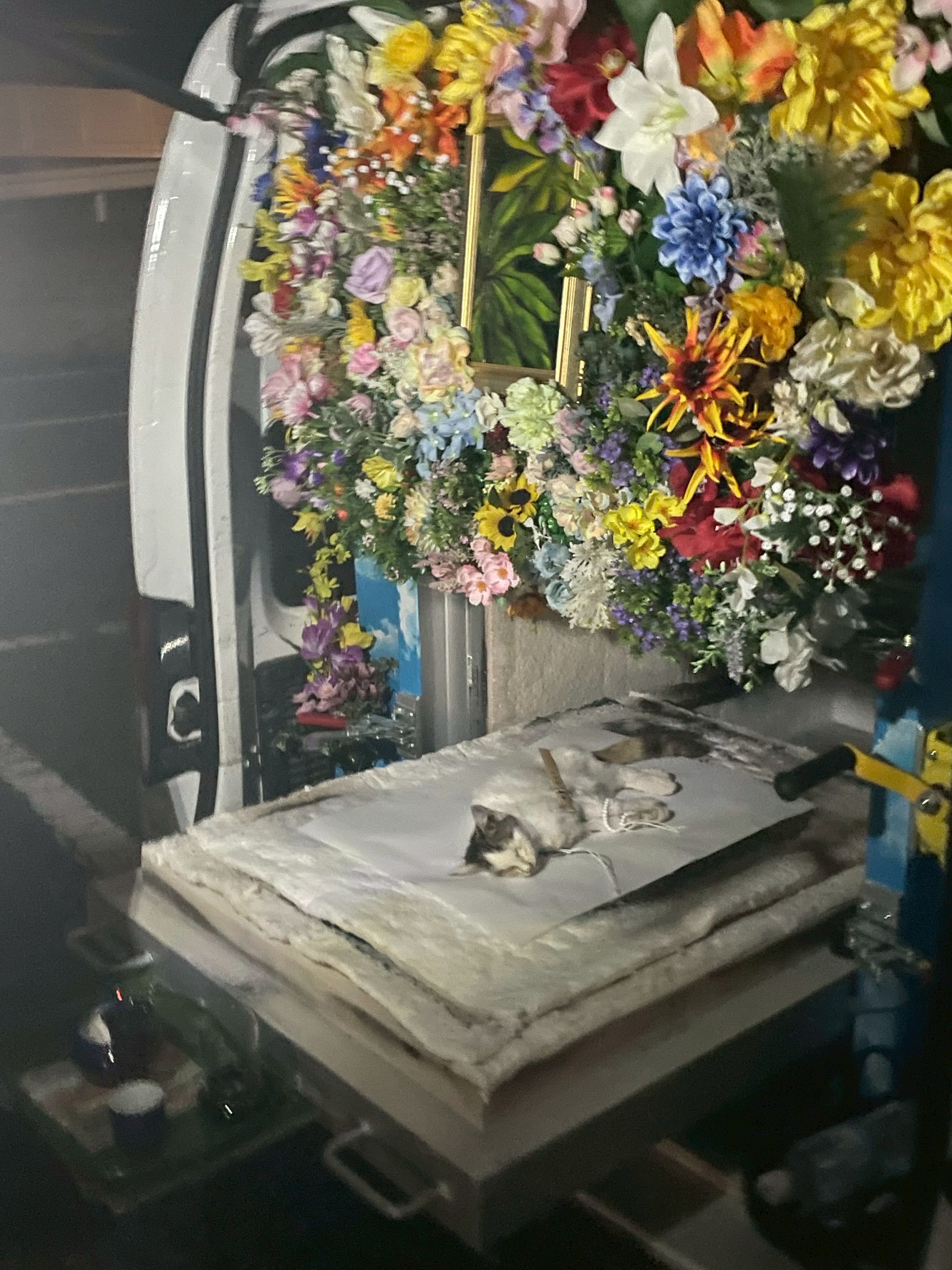 八幡東区での猫ちゃんのお見送り|夜間対応の移動火葬車でお花に囲まれて