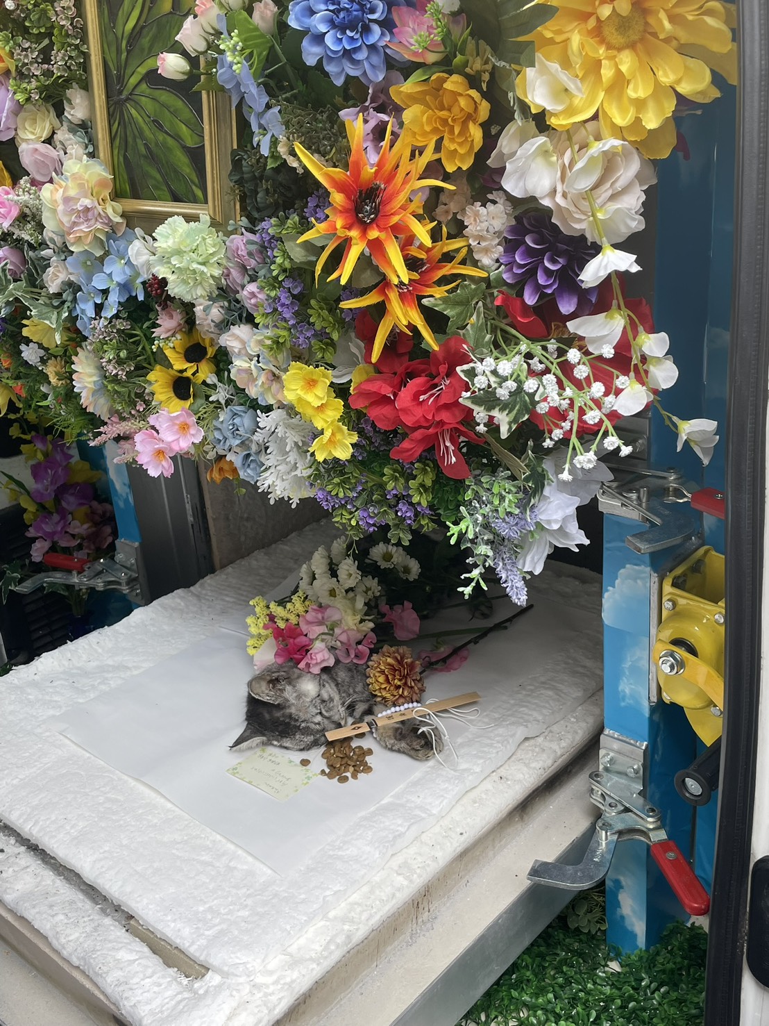 八幡東区での猫ちゃんのお見送り|お花とお供え物に囲まれた穏やかなお別れ