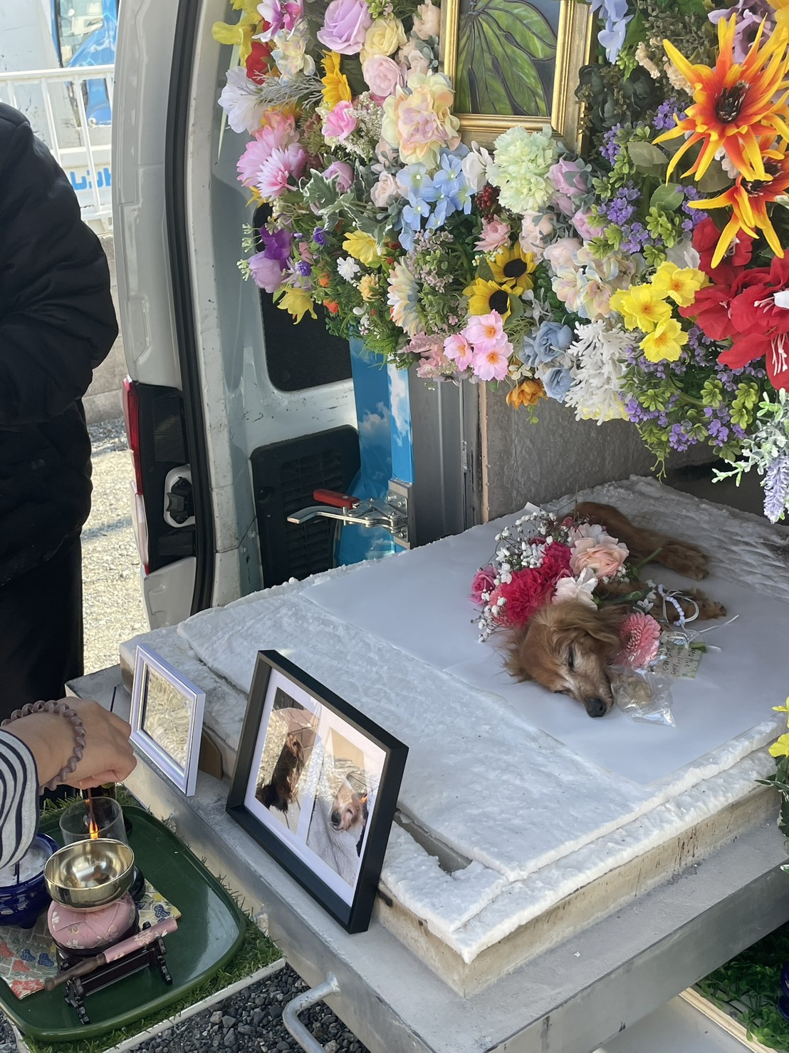 八幡西区での犬ちゃんのお見送り|写真立てとお花に囲まれたセレモニー火葬