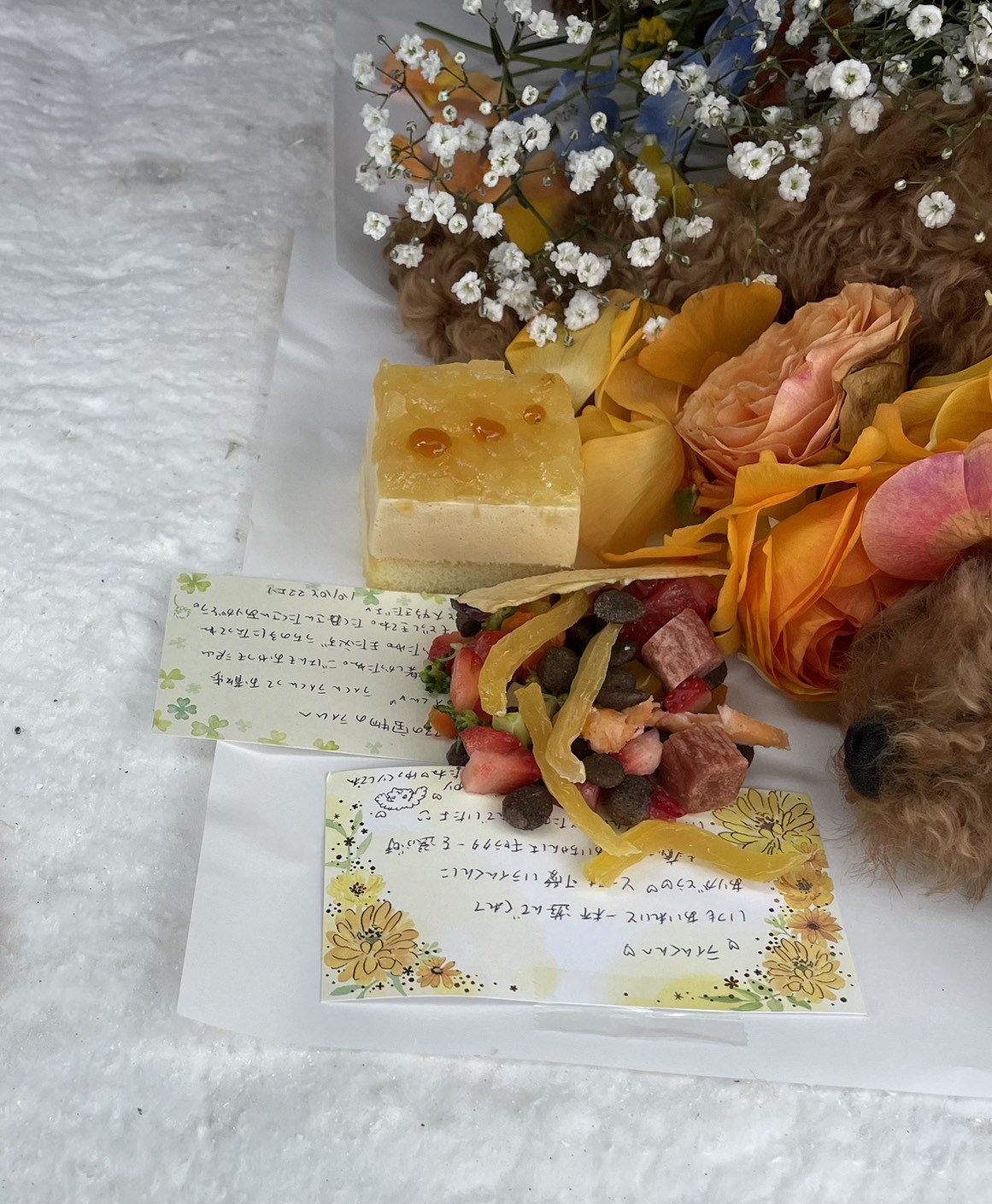 苅田町でのトイプードルのペット火葬お見送りの様子