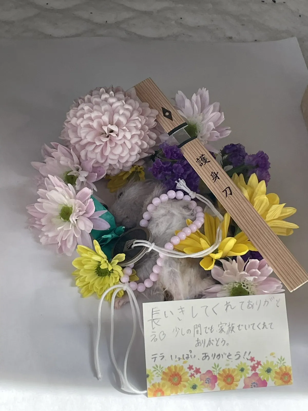 小倉南区でのハムスターのペット火葬お見送りの様子