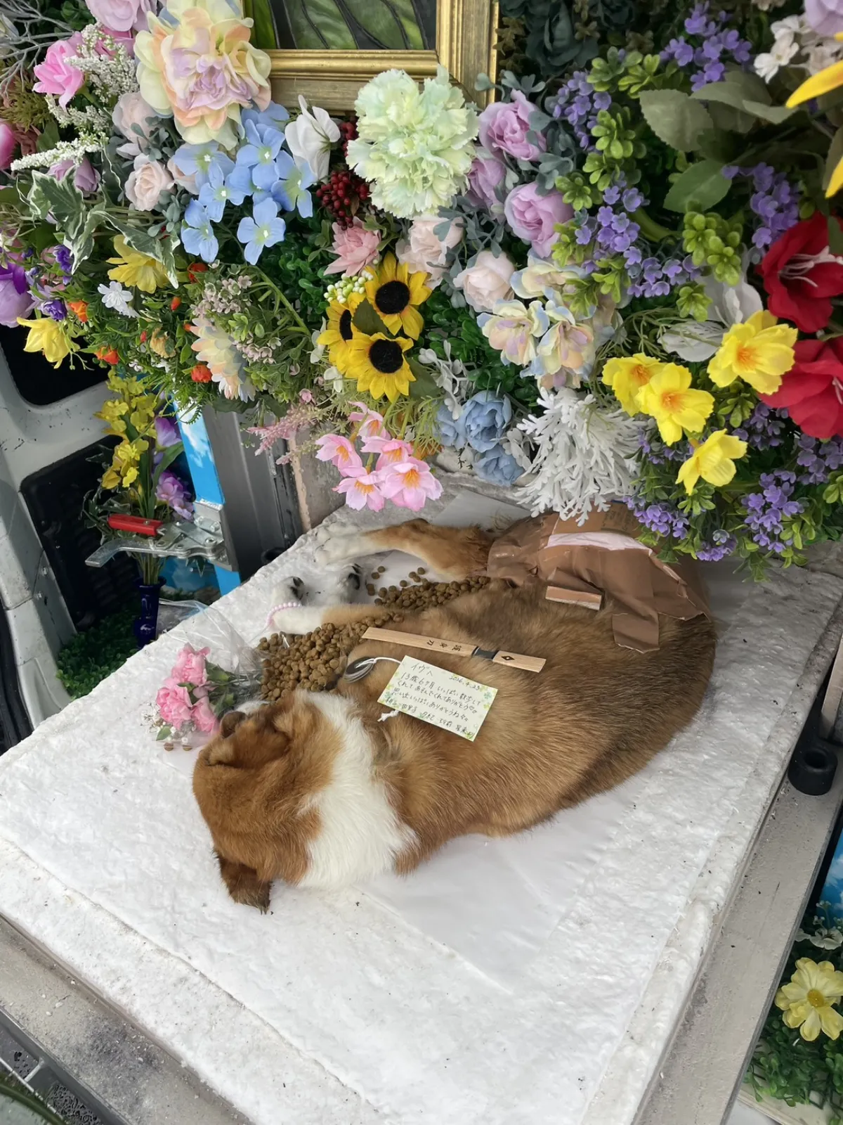 苅田町でのわんちゃんのペット火葬お見送りの様子
