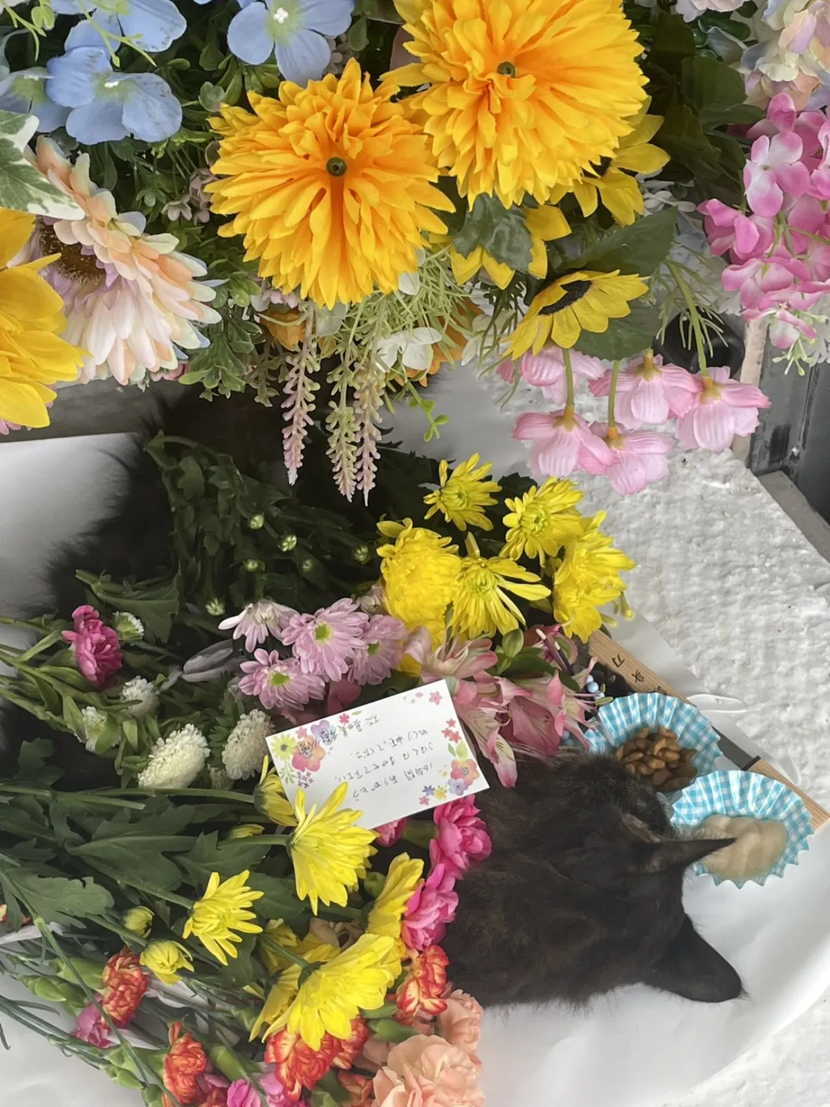 北九州市戸畑区での猫ちゃんのお見送り｜色とりどりのお花に包まれた祭壇