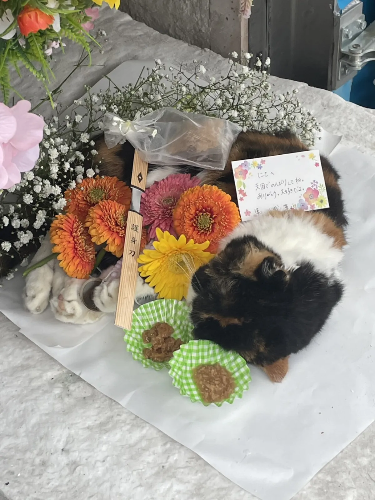 北九州市若松区での三毛猫ちゃんのお見送り|オレンジのガーベラとかすみ草に彩られた祭壇