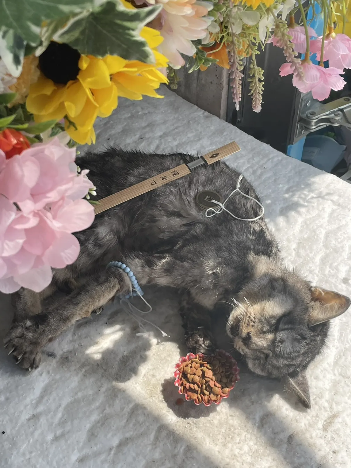 北九州市小倉北区での猫ちゃんのお見送り|ひまわりと淡いピンクの花に彩られた祭壇