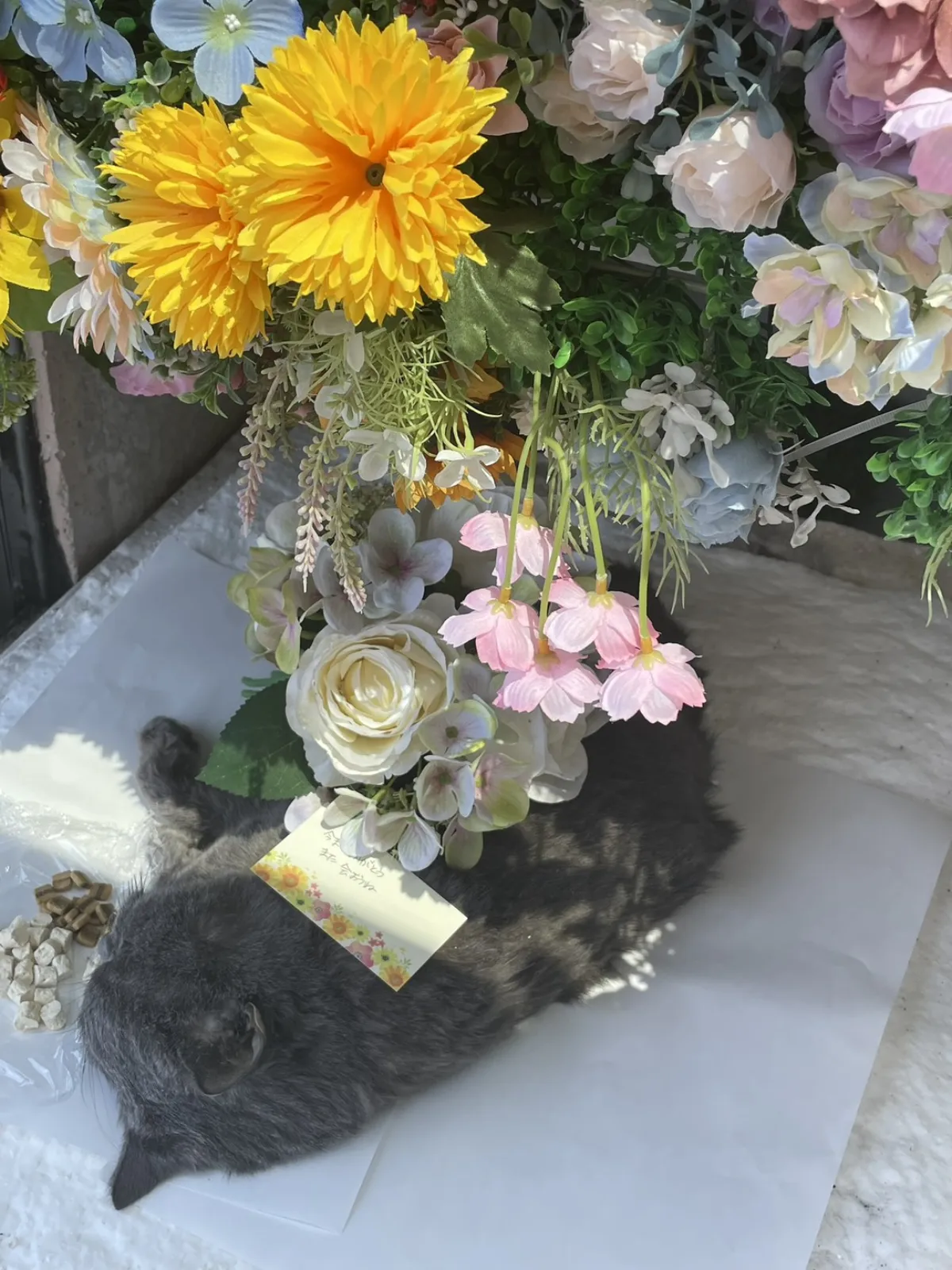北九州市八幡西区でのブリティッシュショートヘアの猫ちゃんのお見送り|黄色い菊と白いバラ、メッセージカードが添えられた祭壇