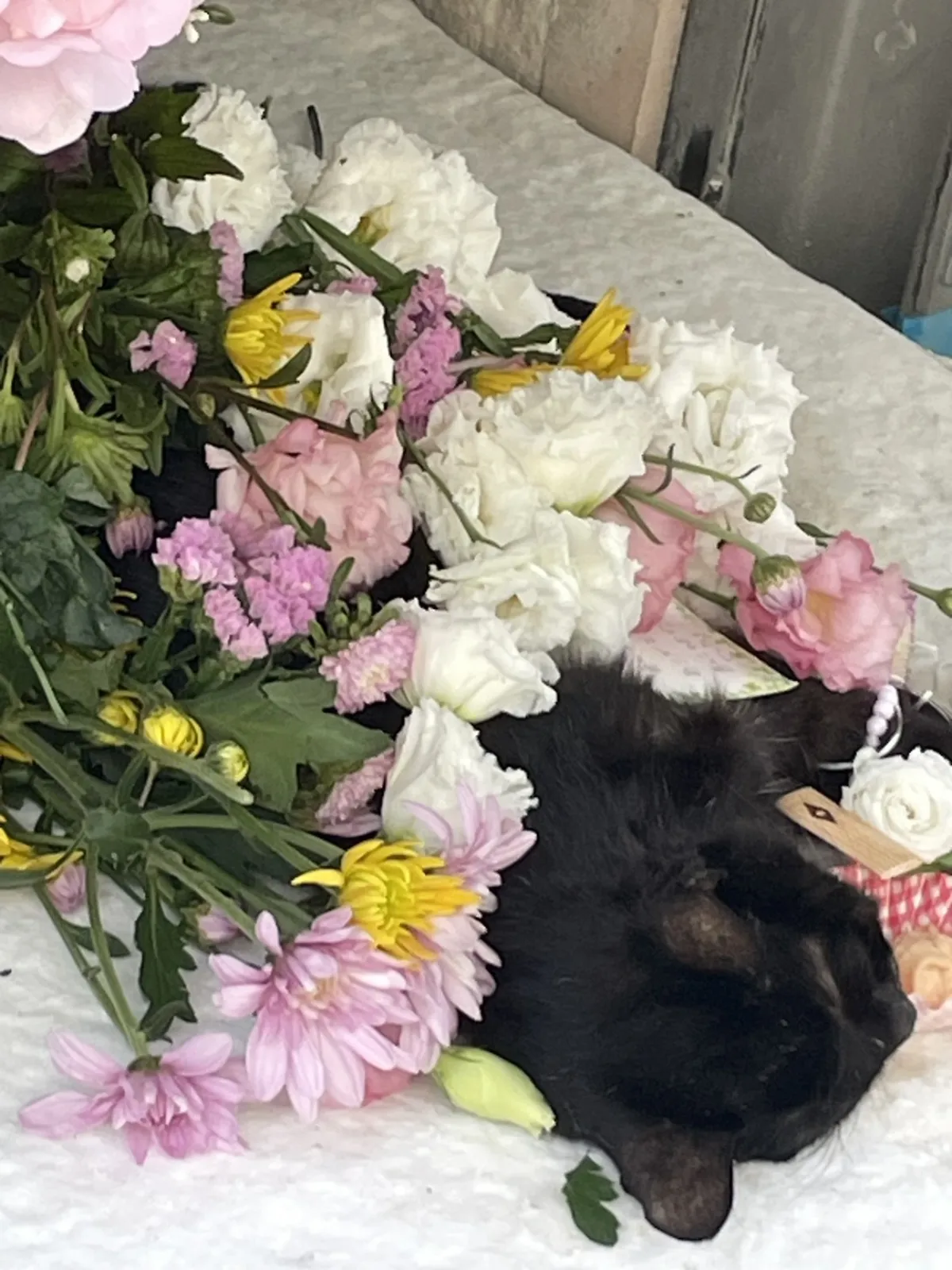 北九州市小倉北区での黒猫ちゃんのお見送り|白いトルコキキョウとピンクの小菊に包まれた祭壇