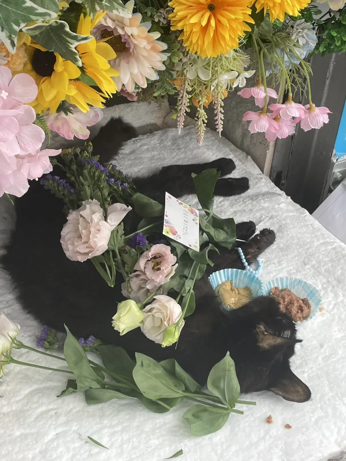 北九州市門司区での黒猫ちゃんのお見送り|淡いピンクのトルコキキョウと紫のスターチスに包まれた祭壇