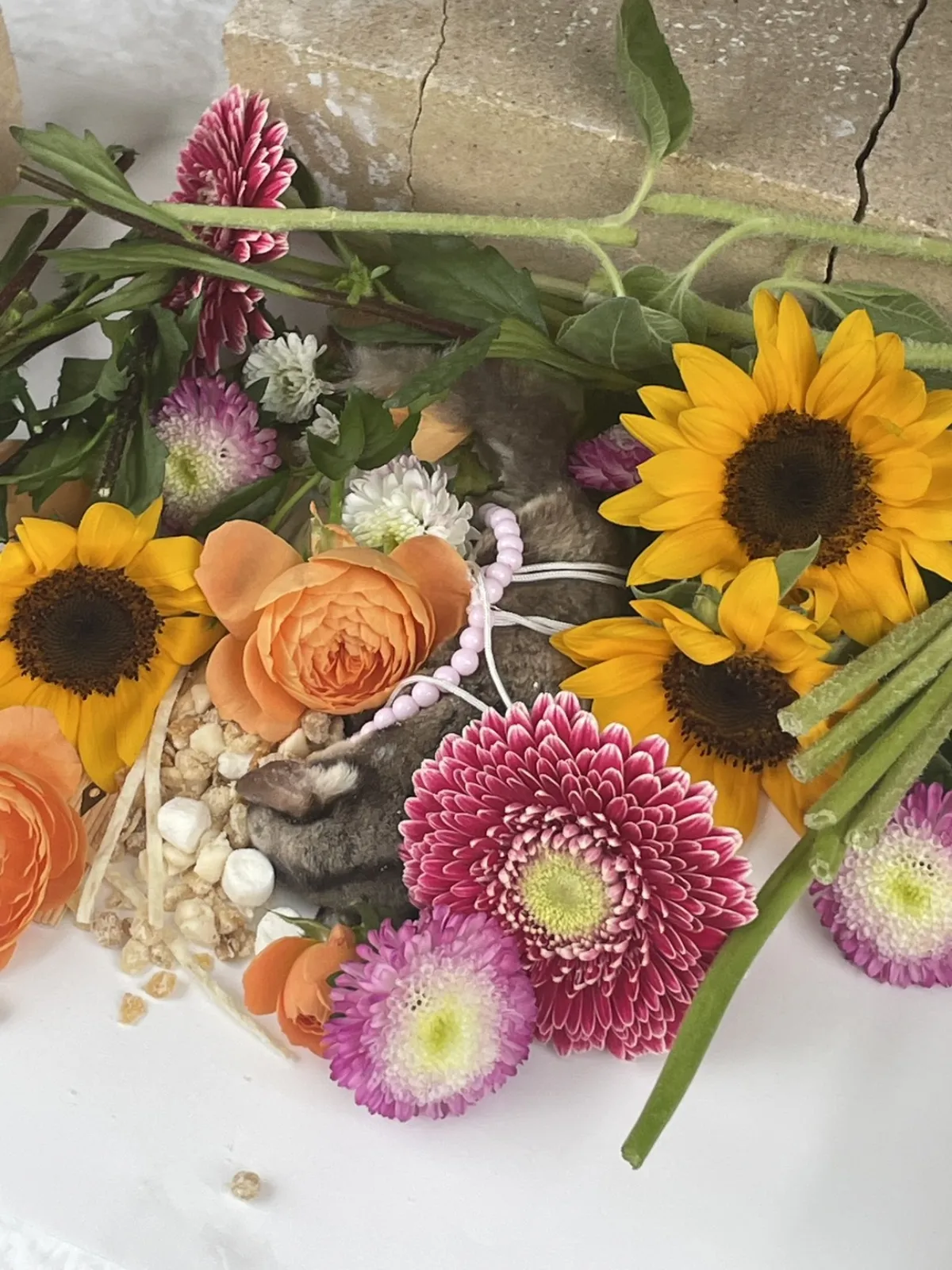 山口県下関市でのフクロモモンガちゃんのお見送り|ひまわりとオレンジのバラ、ピンクのガーベラに包まれた小さな祭壇